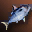 Small Blue Nimble Fish