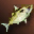 Small Yellow Nimble Fish