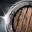 NPC Shield